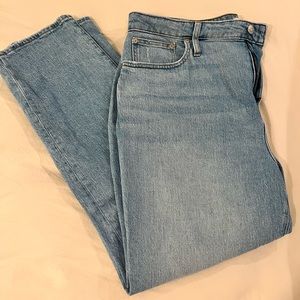 The Curvy Perfect Vintage Jean